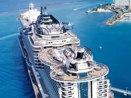 The Largest Cruise Ship In The World