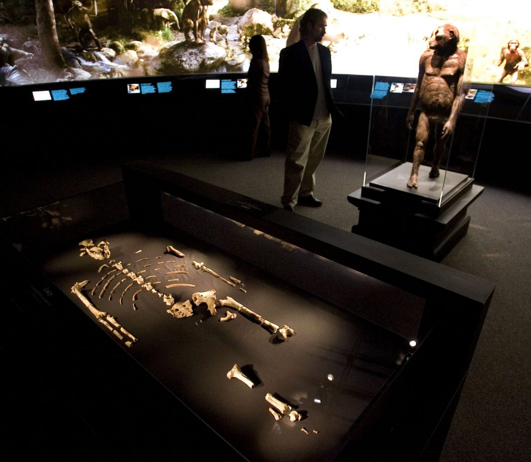 The Oldest Human Remains Found in the World