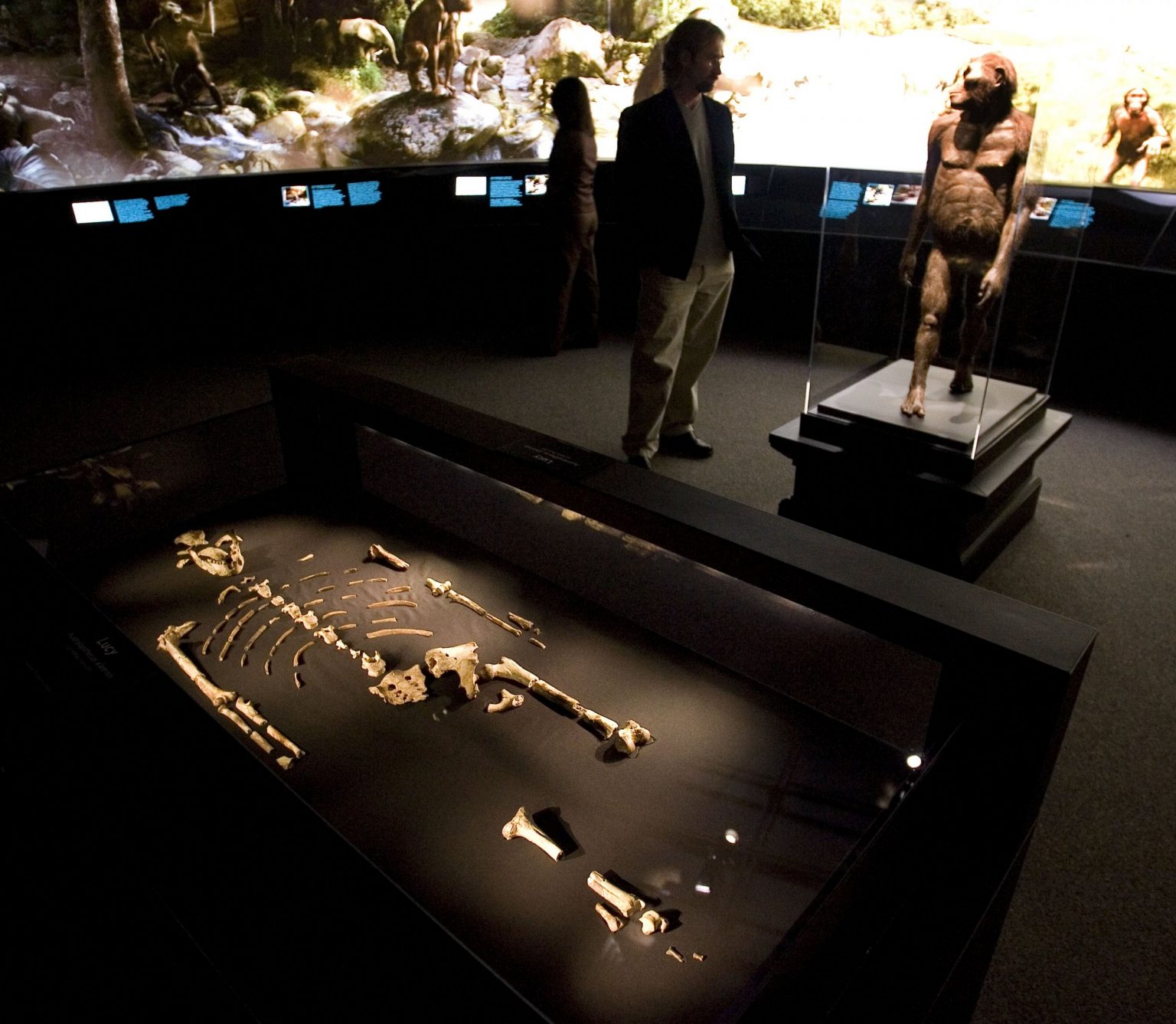 the-oldest-human-remains-found-in-the-world-ibloogi