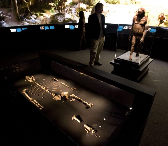 The Oldest Human Remains Found in the World iBloogi