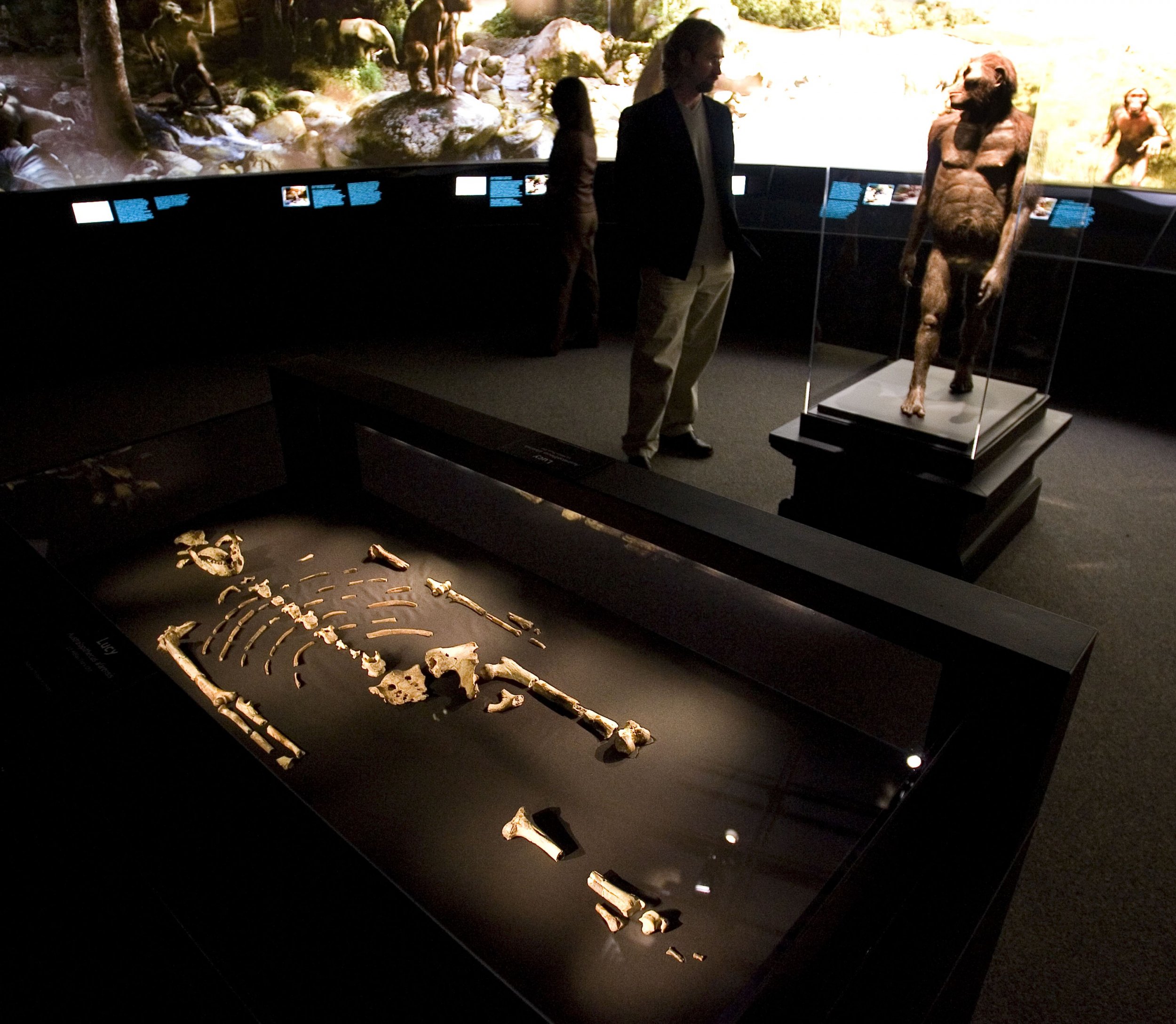 What Are The Oldest Human Remains Ever Found