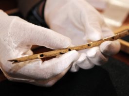 The Oldest Musical Instrument in the World